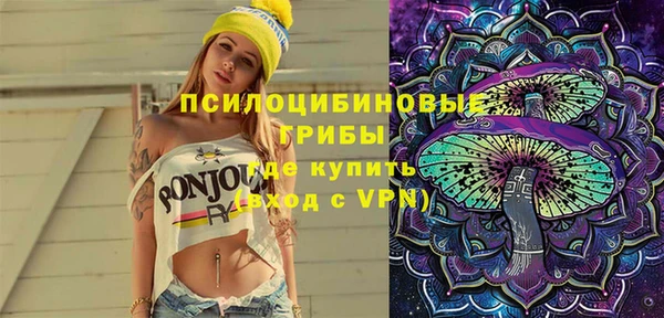 ПСИЛОЦИБИНОВЫЕ ГРИБЫ Аркадак