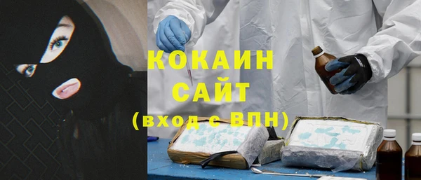 дмт Арсеньев
