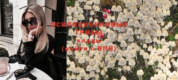 ПСИЛОЦИБИНОВЫЕ ГРИБЫ Аркадак