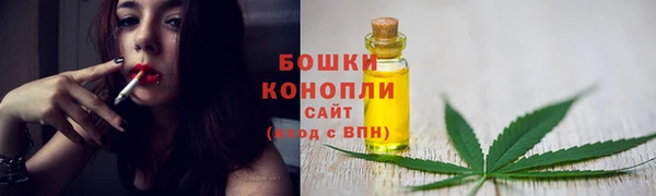 дмт Арсеньев