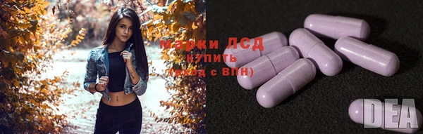 ПСИЛОЦИБИНОВЫЕ ГРИБЫ Аркадак