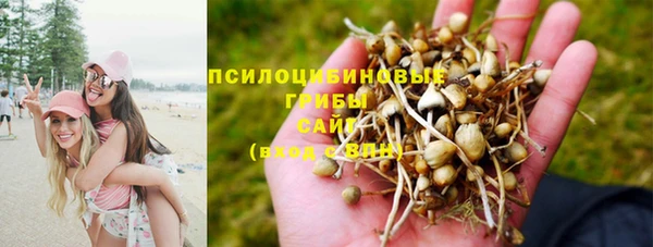 МДПВ Армянск