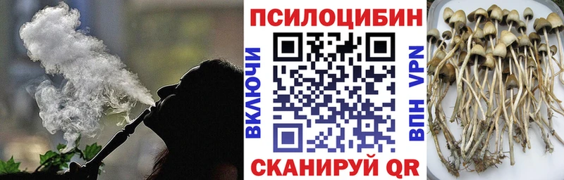 ссылка на мегу зеркало  Уяр  Галлюциногенные грибы Psilocybine cubensis  закладки 